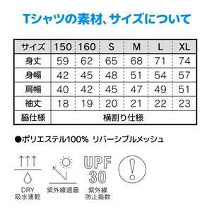 バレーボール Tシャツ 練習着 半袖 2024 新作 バックプリント V24