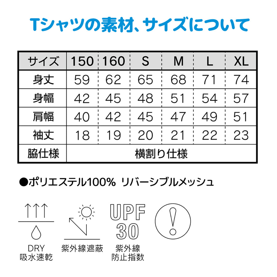 バレーボール Tシャツ 練習着 半袖 2024 新作 バックプリント V24